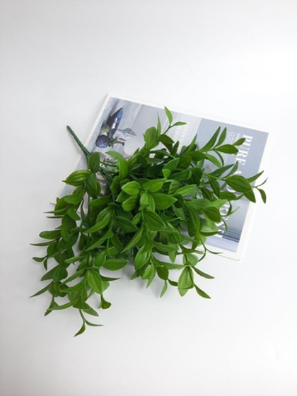 Лимонник тёмный / Арт 5024