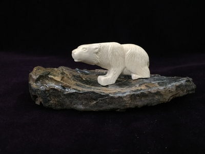 Белый медведь