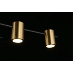 Потолочная люстра Aployt ELWISIA APL.633.07.10