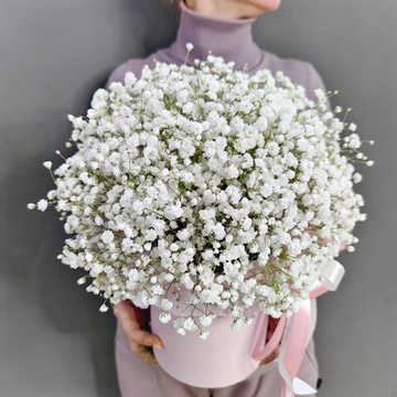 Шляпная коробка с белой гипсофилой