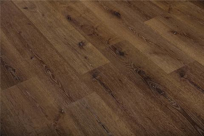 Дуб Бастонь