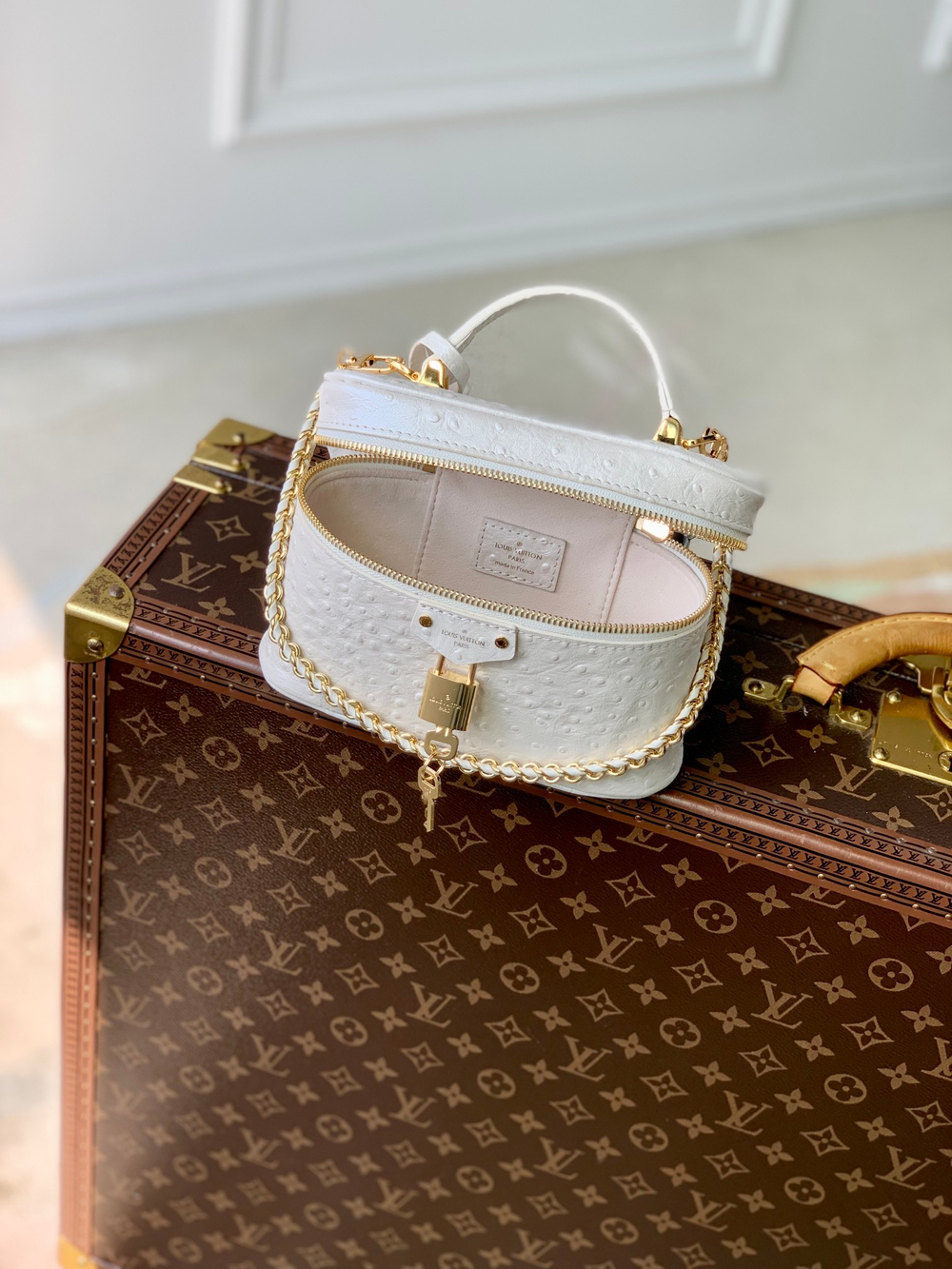 Louis Vuitton Vanity Chain Pouch