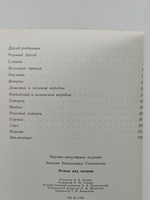 Птицы над полями