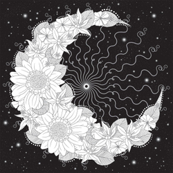 Hachette  раскраска по номерам  Mandalas fleurs