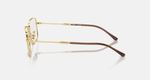 RAY-BAN RX6520 2500 OPTICS