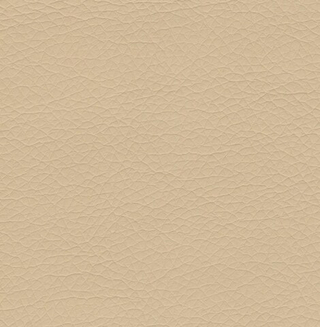 Искусственная кожа Аэро латте (Aero latte)