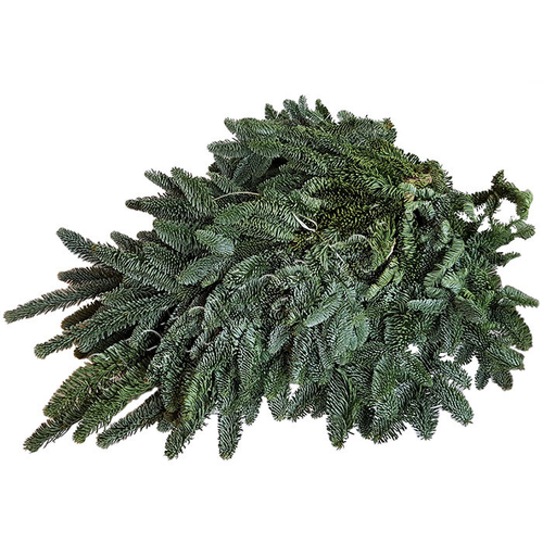 Нобилис банч 3.5-5 кг