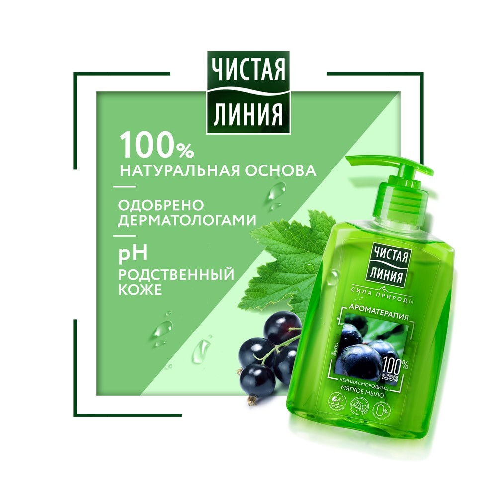 Жидкое мыло Чистая линия Ароматерапия Черная смородина 250 мл