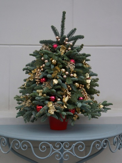 Ёлочка 50 см