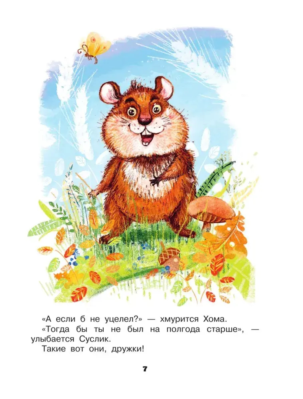 Приключения Хомы и Суслика и другие сказки
