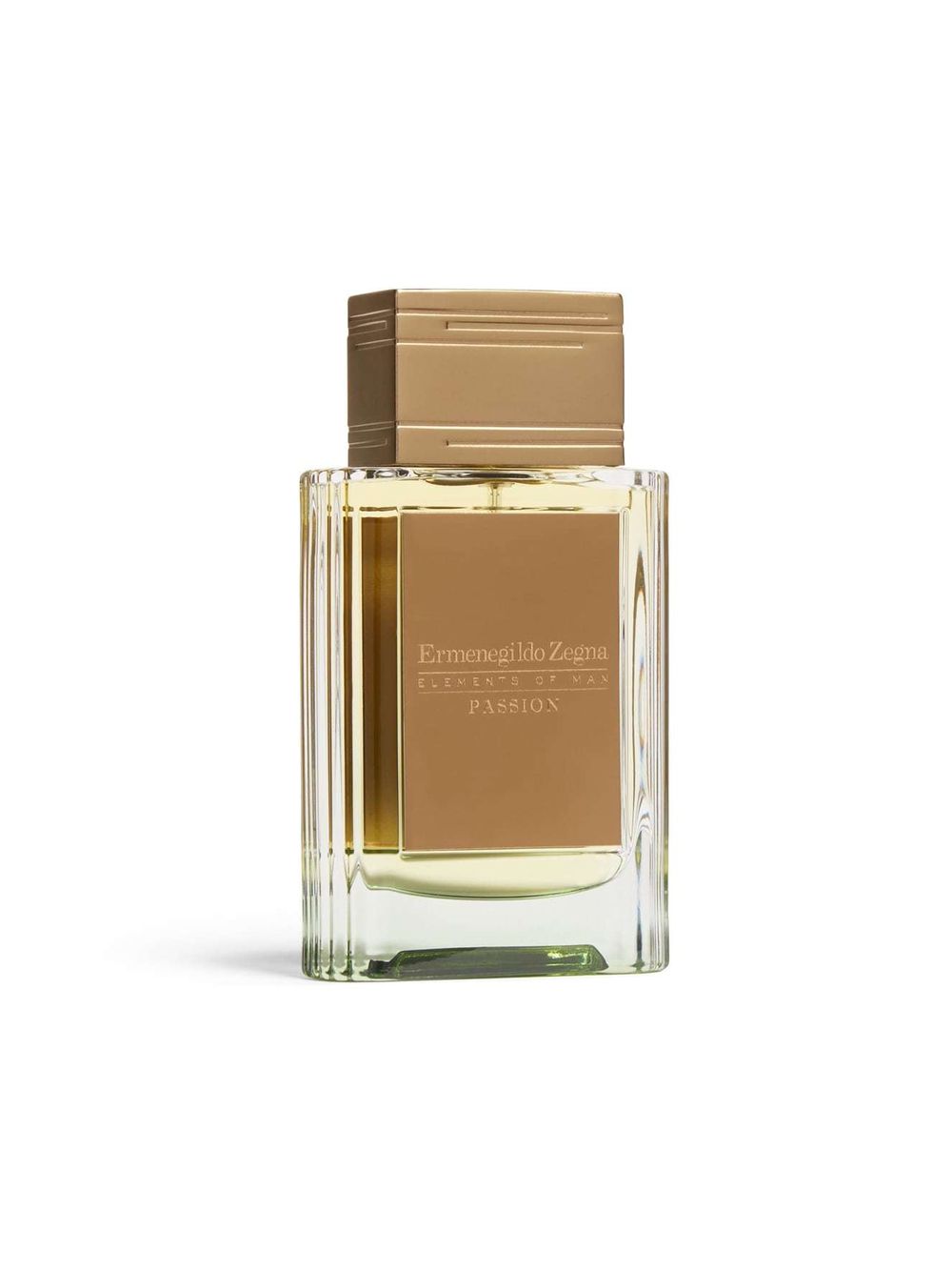 Ermenegildo Zegna Passion