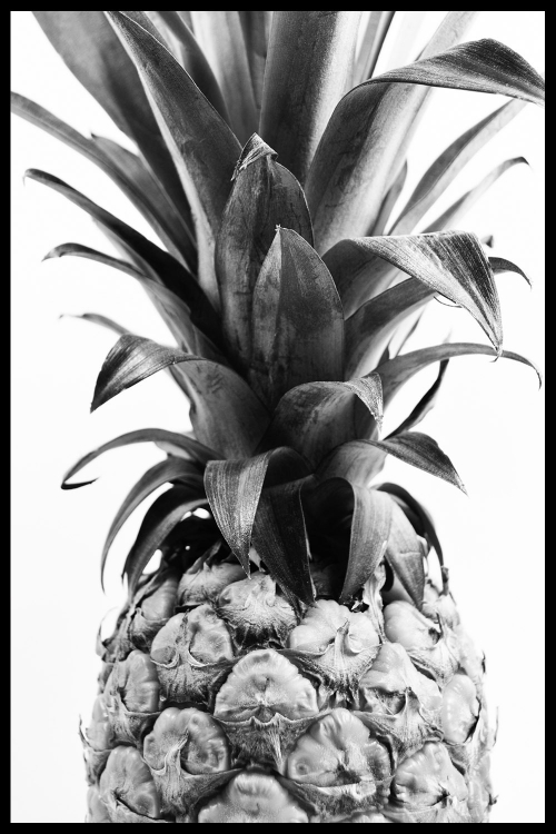 Интерьерная картина в технике цифровой печати. АРТ 014 Черное и белое