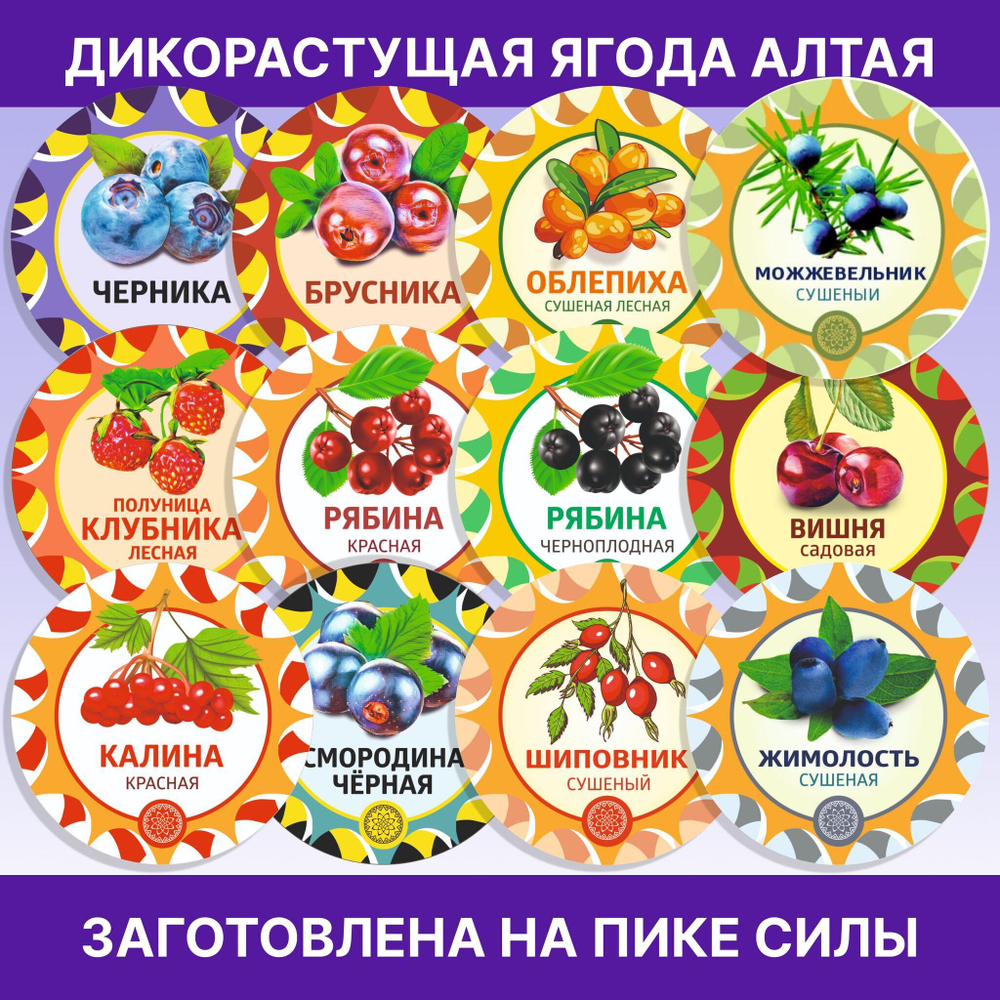 Лаванда цвет сушеный.