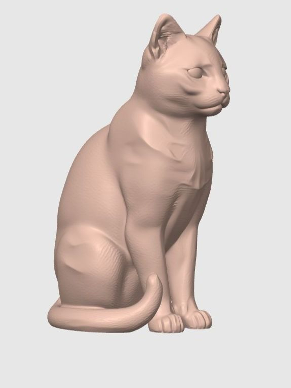 Европейская короткошерстная кошка