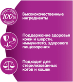 ВИСКАС РАГУ КУРИЦА 75Г