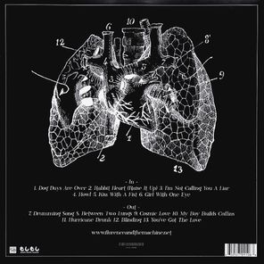 Florence + The Machine / Lungs (LP)