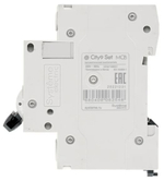 Автоматический выключатель  Systeme Electric C9F34406