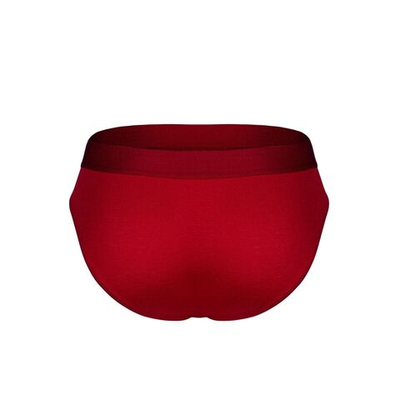 Бордовые бамбуковые трусы-брифы (Размер: L) (Цвет: бордовый)