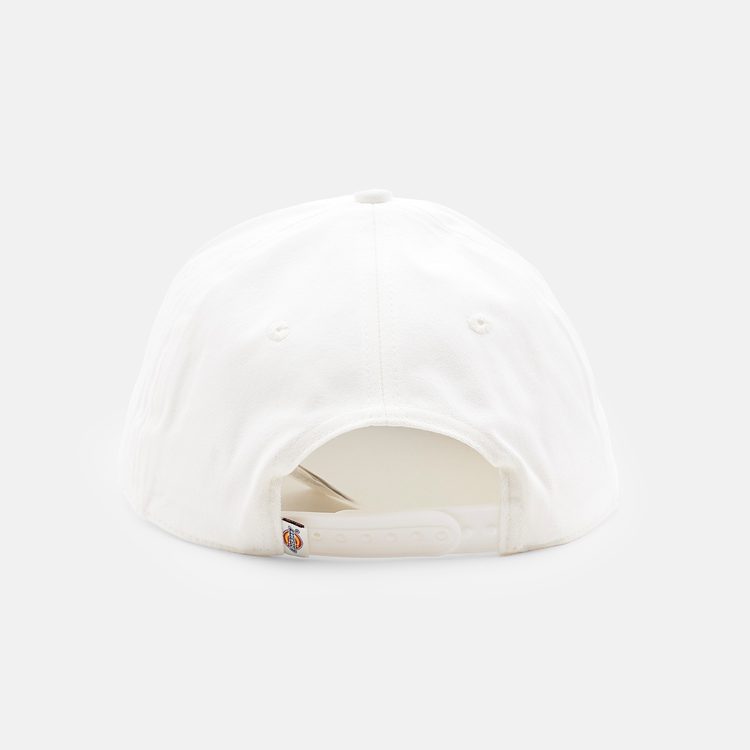 Кепка Dickies Latty Dad Cap артикул:DK0A888EC481 - купить в магазине Дайс