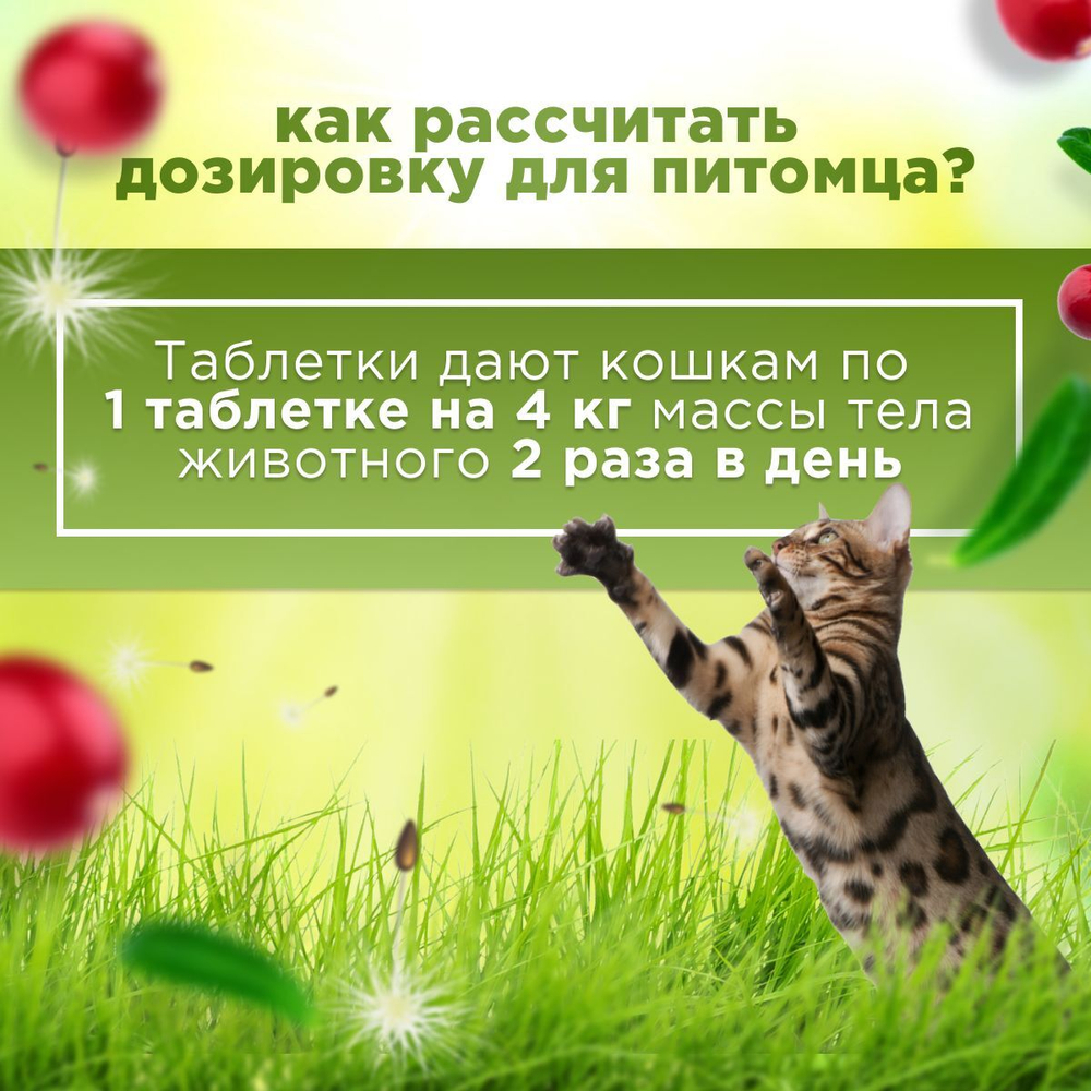 Таблетки от цистита и для профилактики мочекаменной болезни у кошек, Стоп-Цистит ПЛЮС, жевательные таблетки со вкусом печени, 30таб