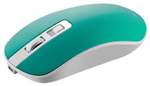 Мышь Canyon MW-18 CNS-CMSW18A бирюзовый