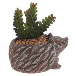 GAEM Цветочная композиция "Суккулент", L14 W12 H12 см, 4в.