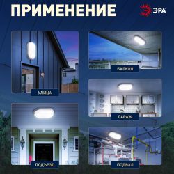 Светильник ЖКХ светодиодный ЭРА SPB-202-0-65K-012 IP65 12Вт 1140Лм 6500К 195x95x37 овал | Светильники для ЖКХ IP65