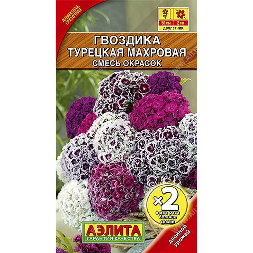 Гвоздика Турецкая махровая 2-ая гр Аэлита Ц