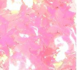 Пайетки фигурные голографические-(бабочки)10гр-Colibry