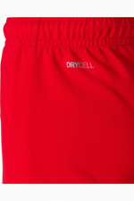 Шорты Puma teamLIGA