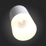 ST100.502.10 Светильник потолочный Белый LED 1*10W 3000K 780Lm Ra&gt;80 120° D78xH135 170-240V Накладные светильники