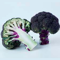 ПЕРПЛ МЭДЖИК F1 семена капусты брокколи (Sakata | Саката)