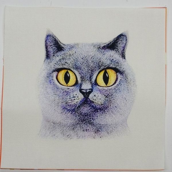 КОТИК МИНИ НОРВЕЖСКИЙ Панно, холст 12 / 12 см 1