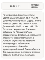 Семена огурцов Бьерн F1, 7 семян (Vita Green / Вита Грин)