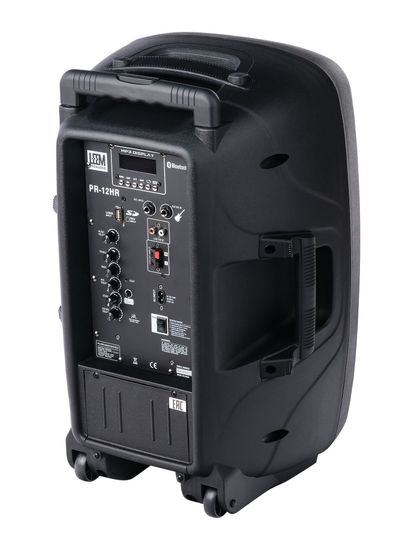 Акустическая система с 2 микрофонами, аккумуляторная, 120Вт, Leem PR-12HR