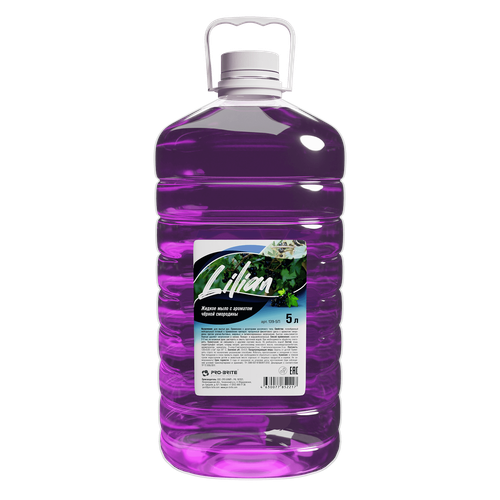 Жидкое мыло с ароматом смородины Pro-Brite Lilian 5 л