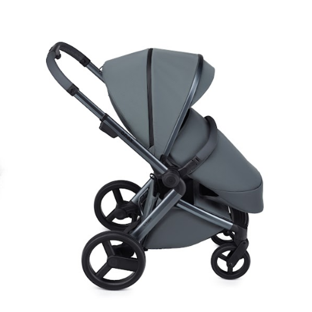 Коляска ANEX l/type 2 в 1 Оwl (арт.lt-09tN)