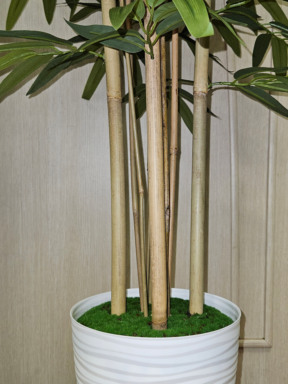 Дерево Бамбук 150см в кашпо