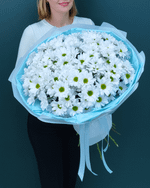 Кустовая хризантема Ромашка,15шт(00447)