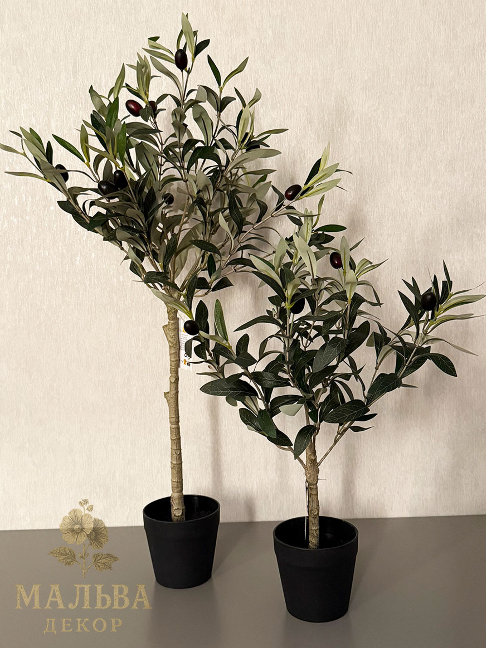 Олива в кашпо 15x15x50 см