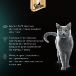 Ломтики в желе форель, 75г влажный корм для кошек Sheba
