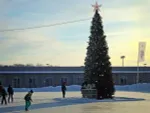 Уличная елка каркасная "Евро-2" (пвх) 9 м
