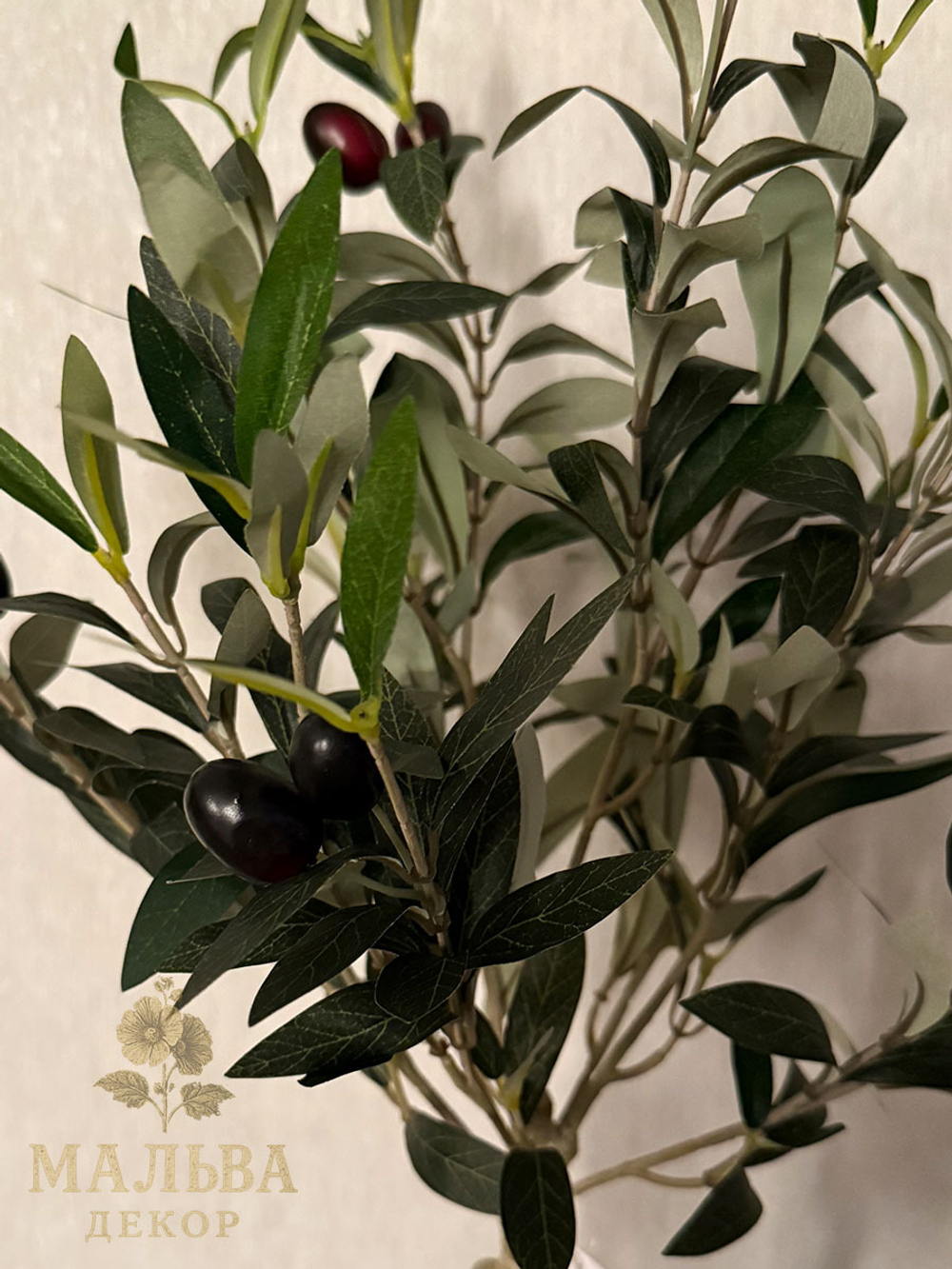 Олива в кашпо 15x15x70см