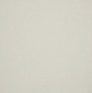 Микровелюр Бэст 01