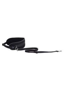 70800 Пояс с поводком-потягом для бега с собакой ICEPEAK PET  RUNNER RUNNING BELT+LEASH, Luhta Sportwear Company.