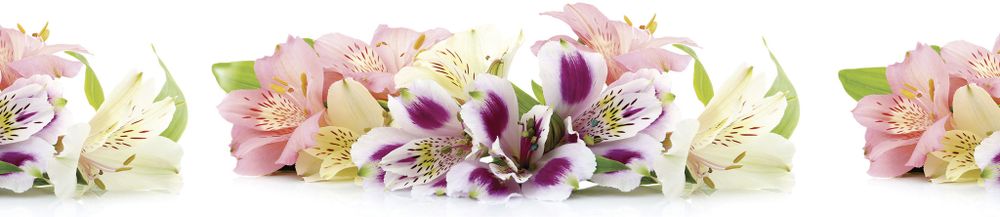 Стеновая панель 2800*610*6 (SP-046 глянец)