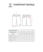 Шорты судейские DIVISION PerFormDRY Referee shorts, черный