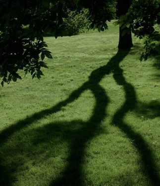 В разработке