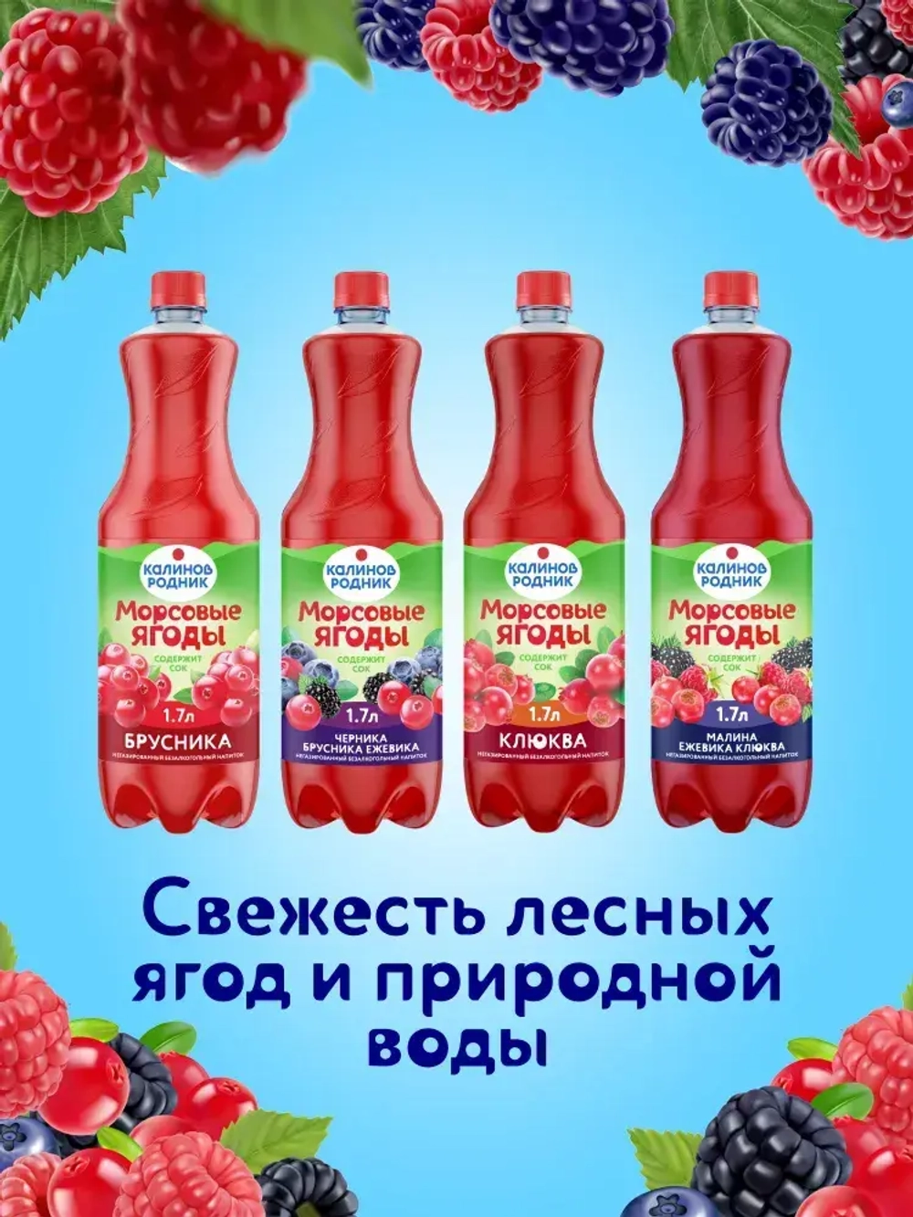 Напиток Калинов Родник Морсовые ягоды с соком Клюква, негазированный, 1,7 л