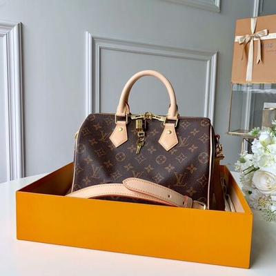 Louis Vuitton Speedy 25